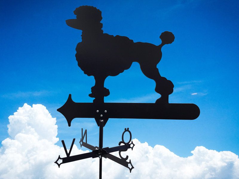 Vindflöjel Pudel på himmels bakgrund.