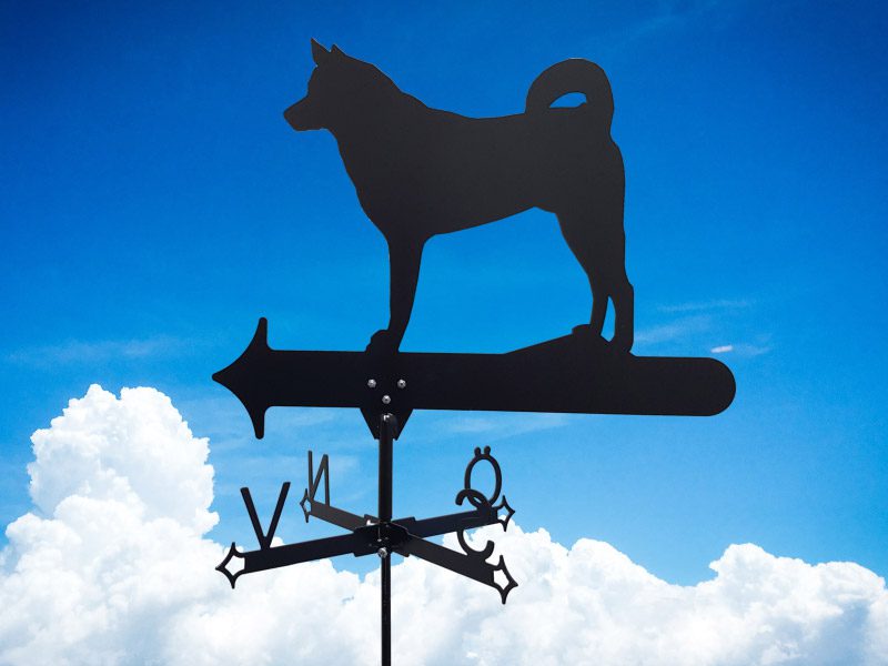 Vindflöjel Jämthund med himmelsblå bakgrund.