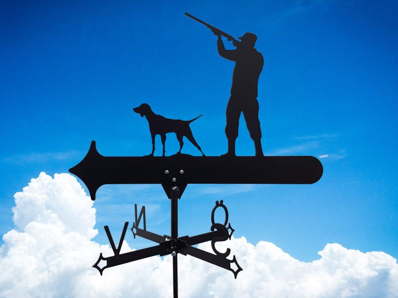 Vindflöjel fågel jägare med hund på himmelsblå bakgrund.