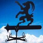 20220307_110152_fri_webb_h